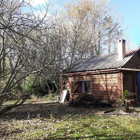 Ferienhaus De Lea *